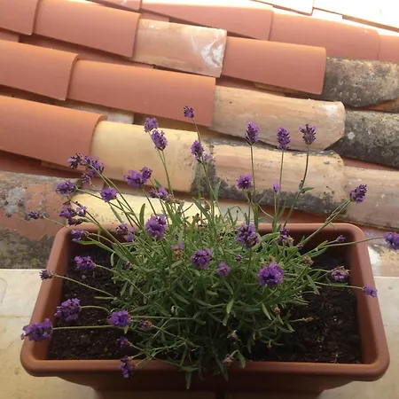 Casa de Férias Gerani House Cefalù