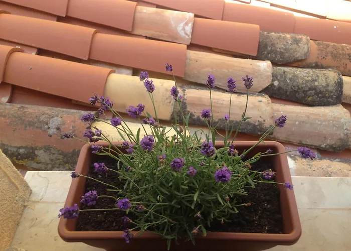 Hébergement de vacances Gerani House Cefalù